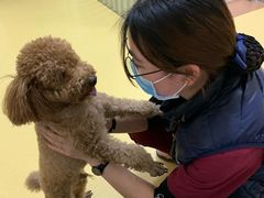 -芭比堂动物医院·犬猫全科·异宠专科(雁塔分院)