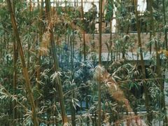 -真爱年华水疗健康运动中心(朱雀大街店)