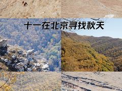 -灵山