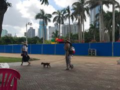 -万绿园