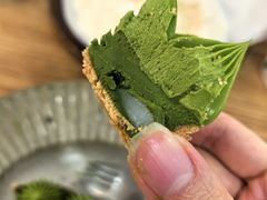 -猫里有甜
