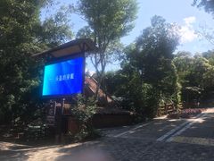 -海南槟榔谷黎苗文化旅游区