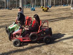 -合肥滨湖国家森林公园