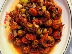 -波锅卤虾·王牌卤虾(汉阳店)