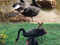 -云南艺术学院(呈贡校区)