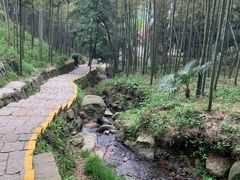 -莫干山风景区