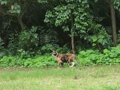 -老洋房花园饭店(绍兴路店)