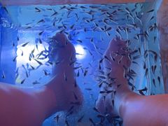 -汤连得温泉馆(宝山店)