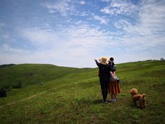 -恋山坝上草原