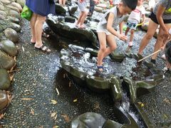 -成都市活水公园