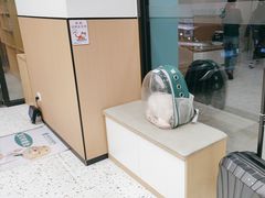-瑞派康怡24h宠物医院·犬猫医疗中心·微创绝育(瑞景分院)