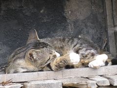 -清风小镇闯关东影视基地