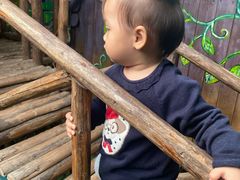 -呀路古热带植物园