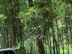 -赤水丹霞旅游区·佛光岩