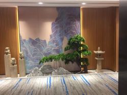 -MJ skin care国际皮肤管理中心