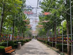 -南宫五洲植物乐园