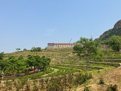-密云玫瑰情园