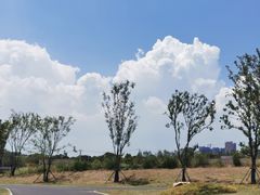 -盘龙城国家考古遗址公园