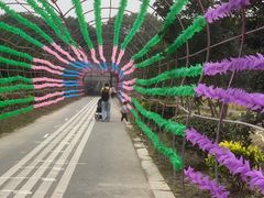 -苏州太湖西山岛开心农场