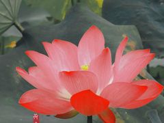 -贵阳市花溪国家城市湿地公园
