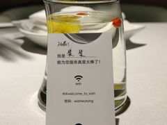 -梧桐