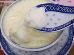 招牌双皮奶-捷信牛奶甜品世家(柳巷店)