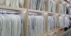点击看大图 -大树儿童摄影