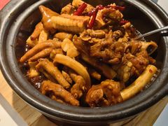 -三强鸽子(中原路店)