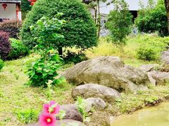 -白云源风景区