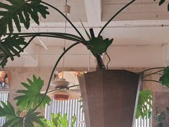 -IES Restaurant(去未舍店)