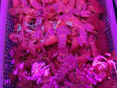 -锦绣大地生鲜食品厅