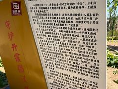 -波浪谷