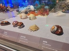 -中国（海南）南海博物馆
