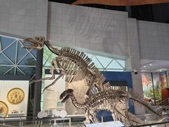 -湖南省地质博物馆