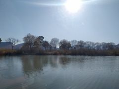 -长兴太湖图影湿地文化园