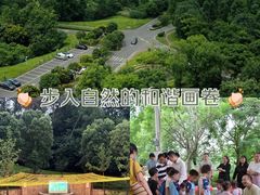 -成都蒲江花样年福朋喜来登度假酒店·宜客乐西餐厅