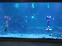 -福州罗源湾海洋世界旅游区