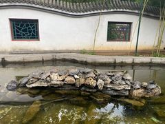 -红螺寺