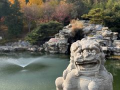 -香山公园