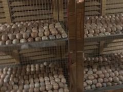 -汤森悠生活文化汤(江宁万达店)