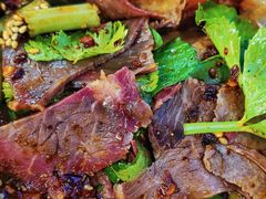 -马记清真肺片(玉林中横巷)