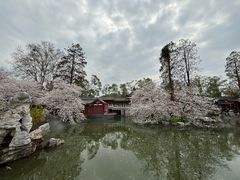 -东湖磨山景区