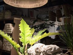 -自由生长植物工作室(深港花卉中心店)