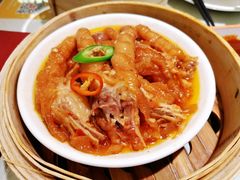 -南枝记