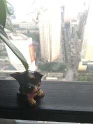 点击看大图 -TSO 慕尚·微潮派