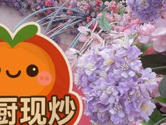 -荷兰花海