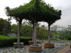 -那考河湿地公园