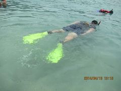 android_upload_pic-东姑阿都拉曼海洋公园