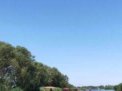 -白洋淀景区