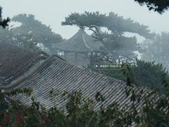 -妙峰山风景名胜区